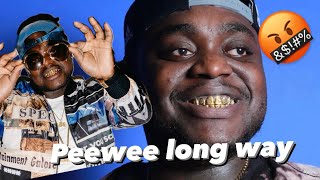 PEEWEE LONGWAY AND 100 OTHERS ARRESTED BY THE FEDS WITH OVER 200 MILLION DOLLARS IN DR MONEY WTF [upl. by Hatnamas]