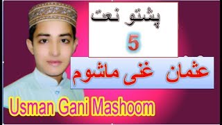 new pashto naat usman Gani mashoom poshto nat [upl. by Mabelle]