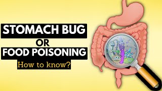 How to Tell if You Have a Stomach Bug or Food Poisoning A Complete Guide [upl. by Lerud]