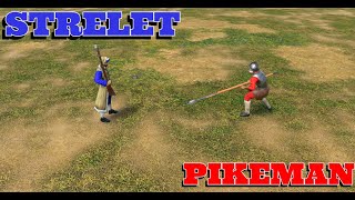 Age of Empires III Definitive Edition Pikeman vs Strelet [upl. by Elwood986]