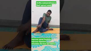 Ardha matsyendrasana half lord of the fishes pose half spinal twist yoga yoga for beginners [upl. by Sathrum648]