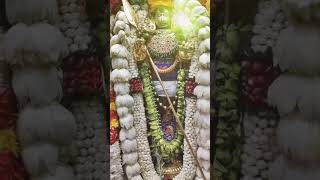 ஓம் முருகா 🙏 god tamil adishakthi hindudeity devotional motivation ஓம்முருகாபோற்றி முருகன் [upl. by Renick]