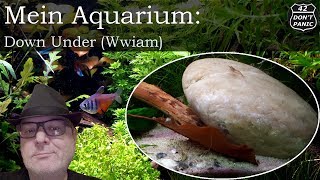 Down Under  Bodengrund Wwiam  Mein Aquarium 48 [upl. by Annawyt544]