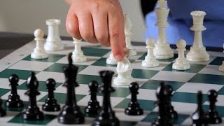 3 Basic Opening Strategy Principles  Chess [upl. by Eibrad399]