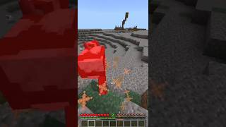 Gaboleh Ketemu Burung Di Minecraft Tapi Main Game TerSus shorts [upl. by Tierney]