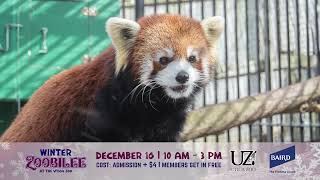 Utica Zoo Winter Zoobilee [upl. by Etka]