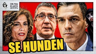 EL PSOE SE HUNDE Y DA ESTAS DECLARACIONES LAMENTABLES  UTBED [upl. by Adnovaj486]