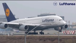 NonStop Busy LAX PlaneSpotting with A bunch of Airbus A380s [upl. by Brier155]