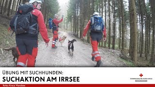 Suchaktion am Irrsee  Zwei vermisste Jugendliche in Zell am Moos  Einsatz Übung [upl. by Eellah]