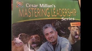 Mastering Leadership of your dog by Cesar Millan dog whisperer volume 2 [upl. by Laryssa]