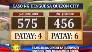 Rise in dengue cases in QC could lead to epidemic [upl. by Aldarcie]