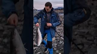 Nice catch today 🎣🐟🇳🇴 pollock fishing in Norway shorts [upl. by Rebmeced]