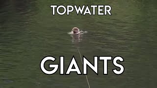 Topwater Giants of Northern Canada [upl. by Evie930]