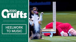 Heelwork To Music  Freestyle International Winner at Crufts 2020 [upl. by Ralat630]