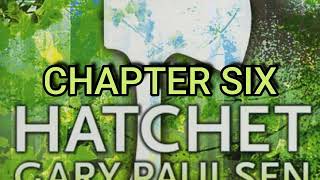 Hatchet Chapter 6 [upl. by Animar]