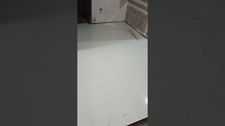 I Installed The Most Expensive Floor Tiles [upl. by Nihi]