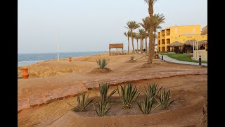 JAZ SAMAYA RESORT MARSA ALAM EGYPT Very cozy hotel by the sea with excellent cuisine [upl. by Haidedej]