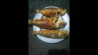 ইলিশ মাছ ভাজা  ilish ranna shorts shortvideo [upl. by Broderick259]