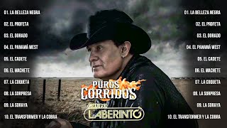 1 Hora De Puros Corridos De Caballos De Grupo Laberinto  Grupo Laberinto Mejores Canciones Exitos [upl. by Maziar92]