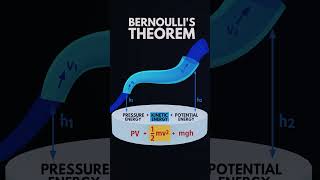 Bernoulli theorem explanationshortsphysics shorts [upl. by Mishaan]