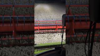 Уборочная 2024 тракторист farming мтз claas [upl. by Draw]