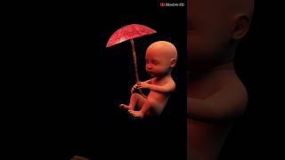 PLACENTA PREVIA  What is Placenta previa  Modvr3D [upl. by Nickelsen]