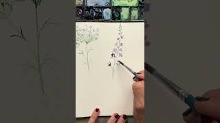 Paint 3 easy watercolor wildflowers for beginners [upl. by Pudens]