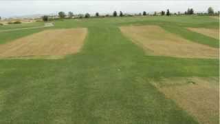 Webcast Winter Overseeding Transition Management [upl. by Araik]