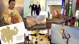 Dogecoin Song  To the Moon [upl. by Winifield]