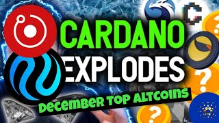 ALTCOINS EXPLODE Massive AltCoin Rally🔥 crypto bitcoin [upl. by Atilal]