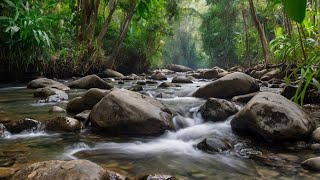 Restorative River Murmurs amp Tropical Birdsong in Lush Rainforest Water Sounds Relaxing for Sleeping [upl. by Drallim]