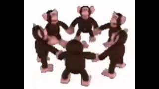 Monkeys spinning low quality 1 hour [upl. by Asserak852]