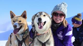 Summer Dog Sledding With Alaskan Husky Adventures [upl. by Kaufman]