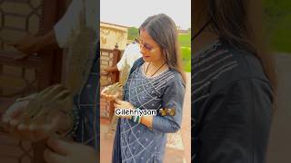 Agra trip 🤌🐿️ anshikapariharshorts funwithanshika ytshorts anshikafuncorner trendingshorts [upl. by Assili]