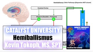 Hemiballismus  Pathogenesis SignsSymptoms and Detailed Mechanism [upl. by Sarena]