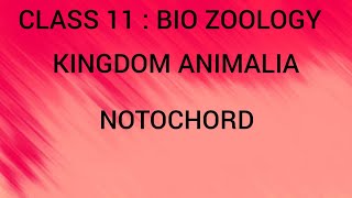 Notochord  Kingdom Animalia  Class 11  Bio zoology  Tamil [upl. by Nerita626]