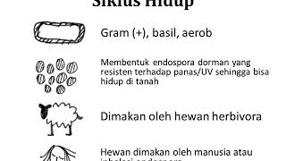 Infeksi Tropis  Anthrax Bacillus Anthracis [upl. by Nosylla]