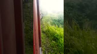 Rainy day Train Ride train railway travel explore srilanka shorts [upl. by Eessac]