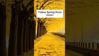 📍Yellow Spring Road Hirokawa Japan 🇯🇵 travel tips foryou shorts [upl. by Ahsiuqat]