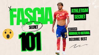 quotFascia Training 101 What You Need to Know about Fascia [upl. by Alleunam]