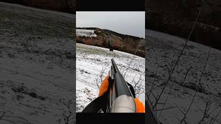 Охота на дикого кабана в снегу cinghiale chasse wildboar охота дикий кабанhunting [upl. by Rilda606]