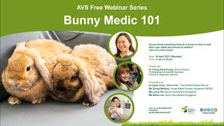 AVS Free Webinar Series  Bunny Medic 101 [upl. by Ettenom199]