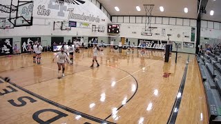 Edsel Ford JV Volleyball VS Carlson [upl. by Ateuqram323]