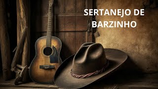 SERTANEJO 1  MUSICAS AUTORAIS [upl. by Butterworth9]