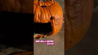 Jack o lanterns gets old after halloween😂 pumpkin halloween halloweenpumpkincarving [upl. by Notnyw]