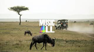 Dizaro  Safari Vlog No Copyright Music [upl. by Nealson]