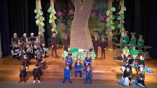 1st Grade Play  The Great Kapok Tree 2024 [upl. by Aloise481]