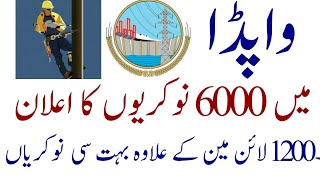 Wapda jobs 2019 in Lesco 6000  wapda jobs NTS  OTS [upl. by Eiffub214]