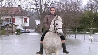 Inondations à Tarnos les habitants sorganisent pour se déplacer  0302 [upl. by Kamat]