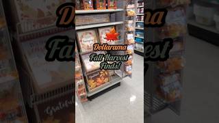 dollarama dollaramafinds dollaramahaul dollaramacanada dollaramashopwithme [upl. by Vassily]